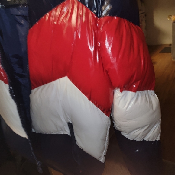 Puffer - Picture 4 of 4